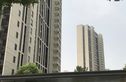 瑞虹新城怡庭实景图