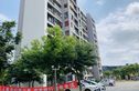 清风雅苑实景图