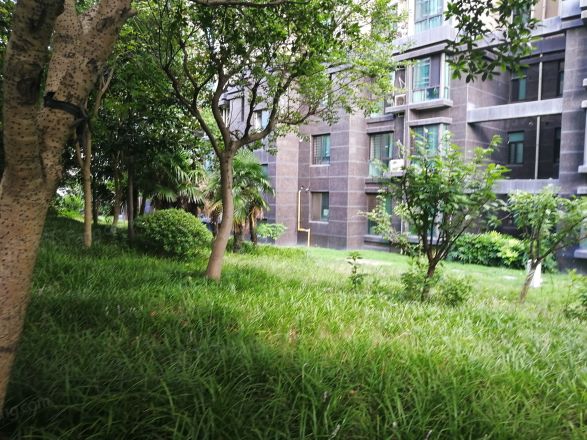 阳光春城实景图