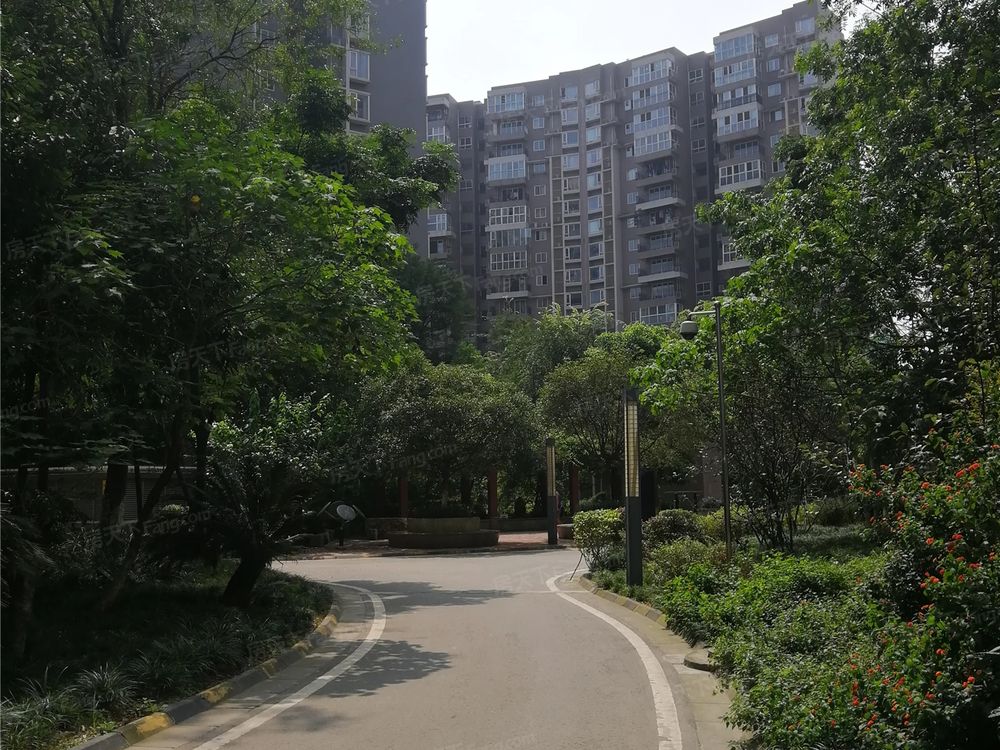 小区相关图