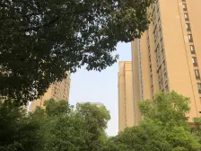 电梯房,无抵押,必看好房