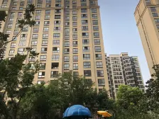 通风好 采光好,产权清晰 必看好房