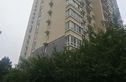 银色星座实景图