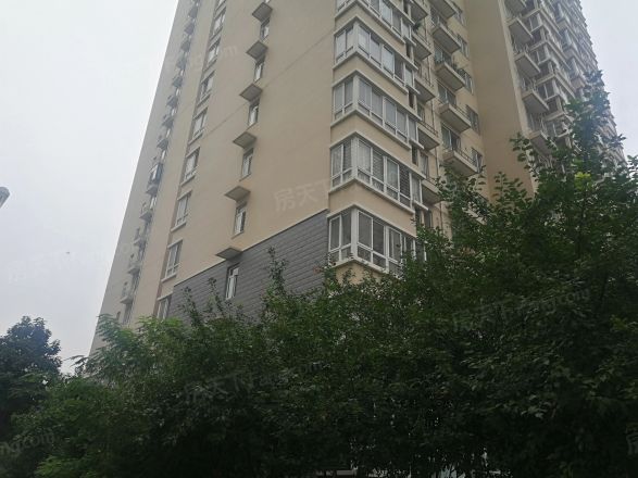 银色星座实景图