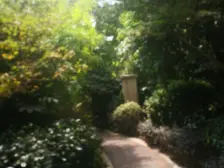 佳兆业城市广场(商业类) 1室1厅 南