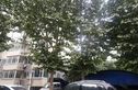银色星座实景图