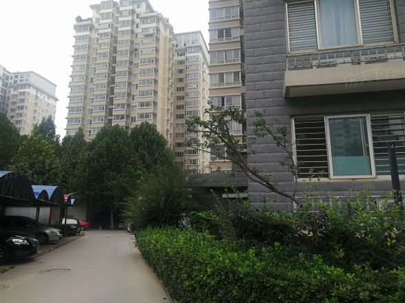 银色星座实景图