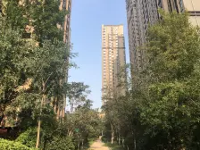 双阳台!精装修朝南小三房!小高层洋房 居住舒适