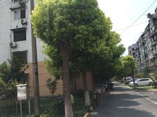 荻泾苑3室2厅南北