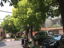 111平三房两卫精装可拎包入住