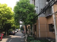 外环外出行便利,附近配套成熟,小区在加装电梯