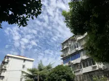 吉浦路615弄 3室2厅 南