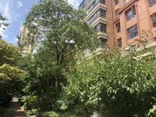 店长推荐 洋房社区+版式房型+字母车位+业主诚售