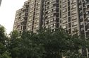 万科梦想派实景图