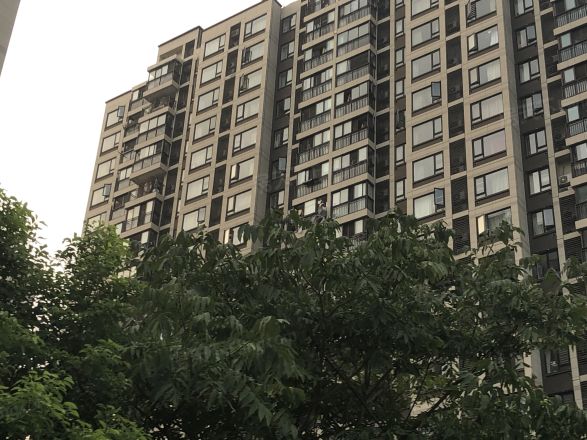 万科梦想派实景图
