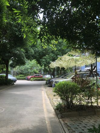 滨江丽景花园实景图