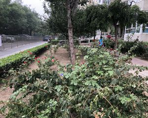 马家堡·嘉丽园·1室·1厅