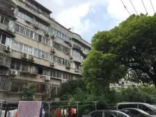 大唐花园 1室1厅1卫 南