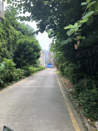滨江丽景花园实景图