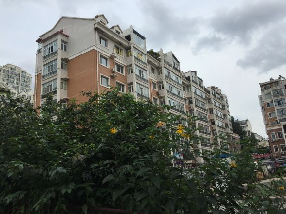 新天地家园实景图