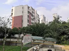 西现代城标间 外 高 对 面 业主诚心出售