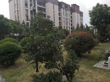 业主诚意出售优质房源一楼带30平花园看房方便