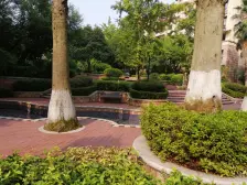 李家沱 融汇半岛香缇卡纳一期七房232.7万