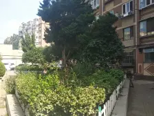 星海公园3楼无坡黑石礁医大二院