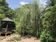 歌林春天馨园 4室2厅 南