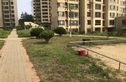 胜景家园实景图