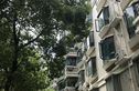 龙柏金悦公寓实景图