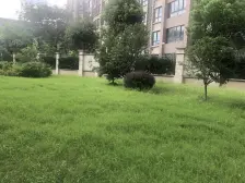 菊园新区·柳湖景庭·1室·2厅