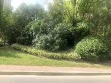 菊园新区·柳湖景庭·高楼层 1室·1厅