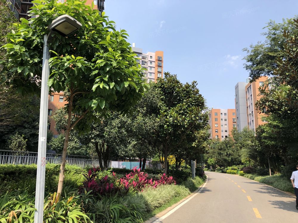 小区相关图