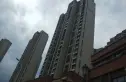 保利红叶谷实景图