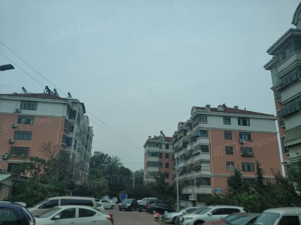 信义人生实景图