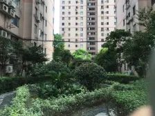 新上房源 户型方正 虹叶一期 双轨交汇 交通便利