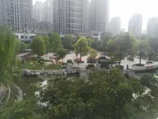 亚星江南小镇电梯洋房中间咯层大四室 户型方正