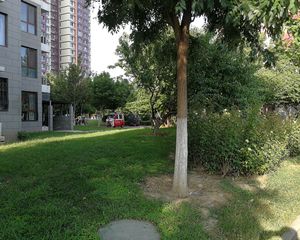 宋家庄·顶秀金石家园·2室·1厅