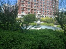 金海国际花园,清水房,前排不挡光,小高层位置好