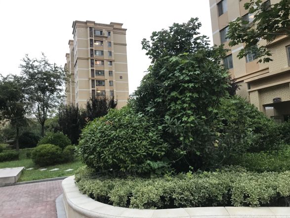 水悦城商住楼实景图