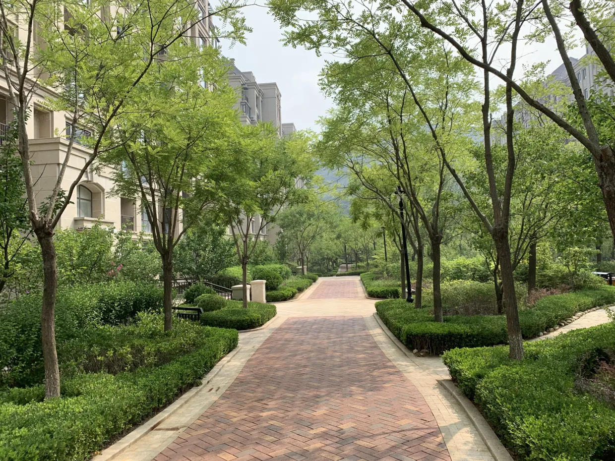 实景图-环境绿化