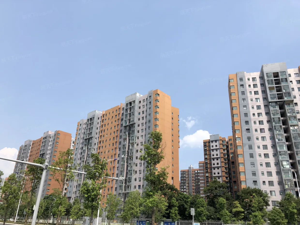 实景图-楼盘外观