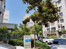 带采光天井,采光充足,精装修,主卧朝南,小区中心位置