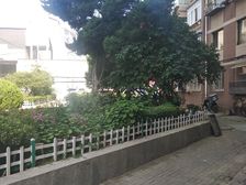 西南路星海公园二室精装房诚意出售