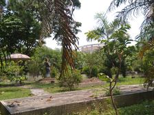 尚都二区高层南向洋房 满二出行方便正南向