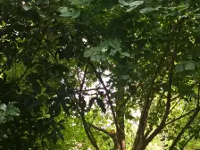 此房南北户型+通透,格局好,有多的面积,业主诚意