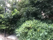 菊园新区 · 汇丰荷苑 · 1室 · 2厅 周边配套齐