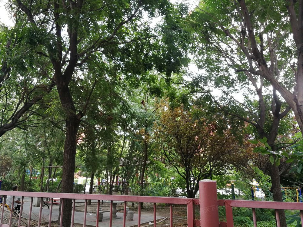 小区相关图