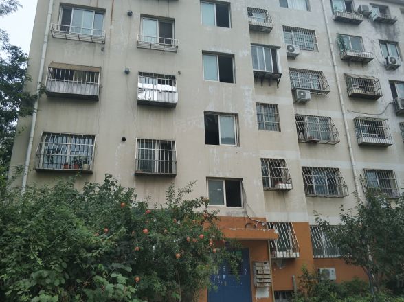 青建国通嘉苑实景图
